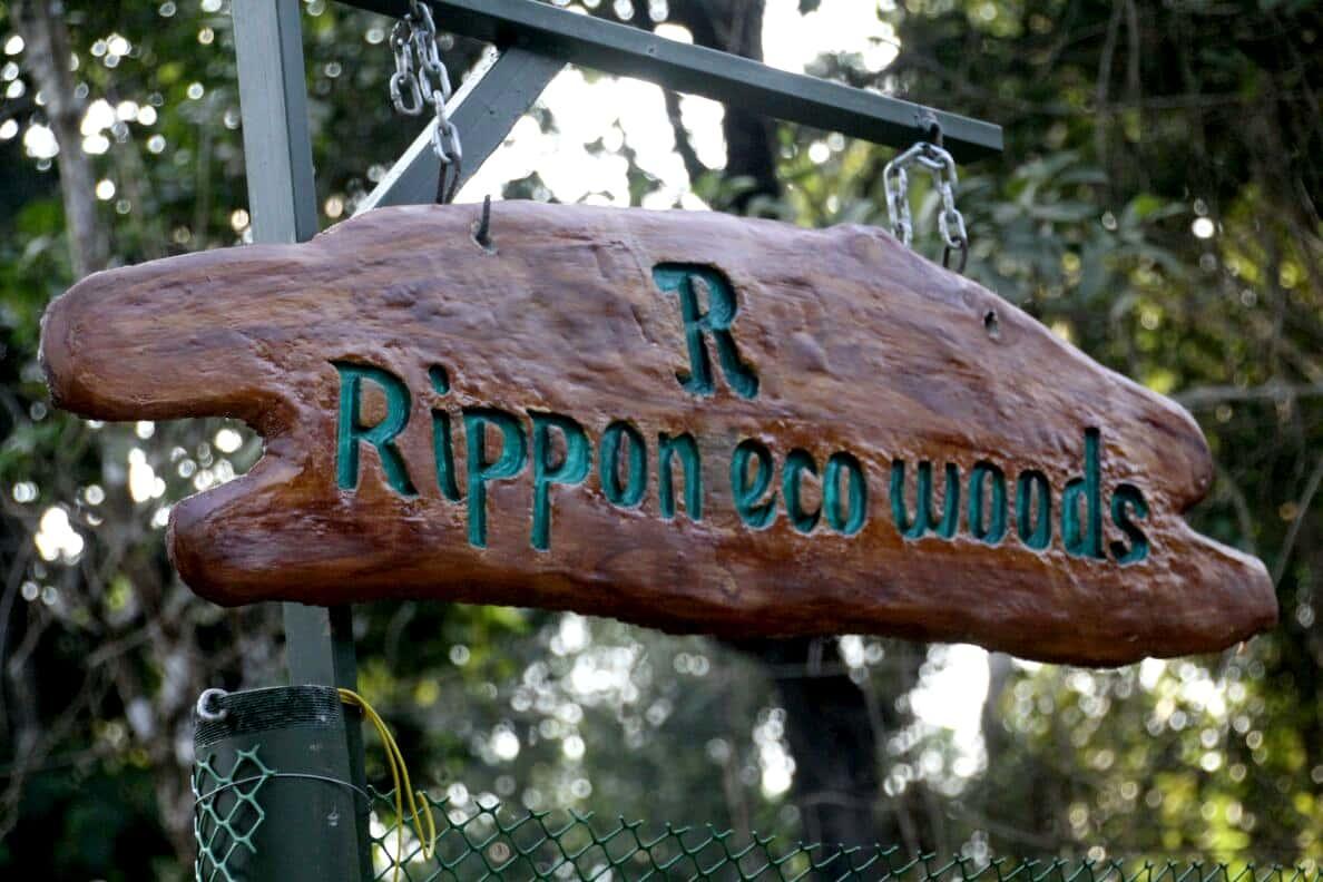 Rippon Eco Woods Villa Kalpetta Luaran gambar